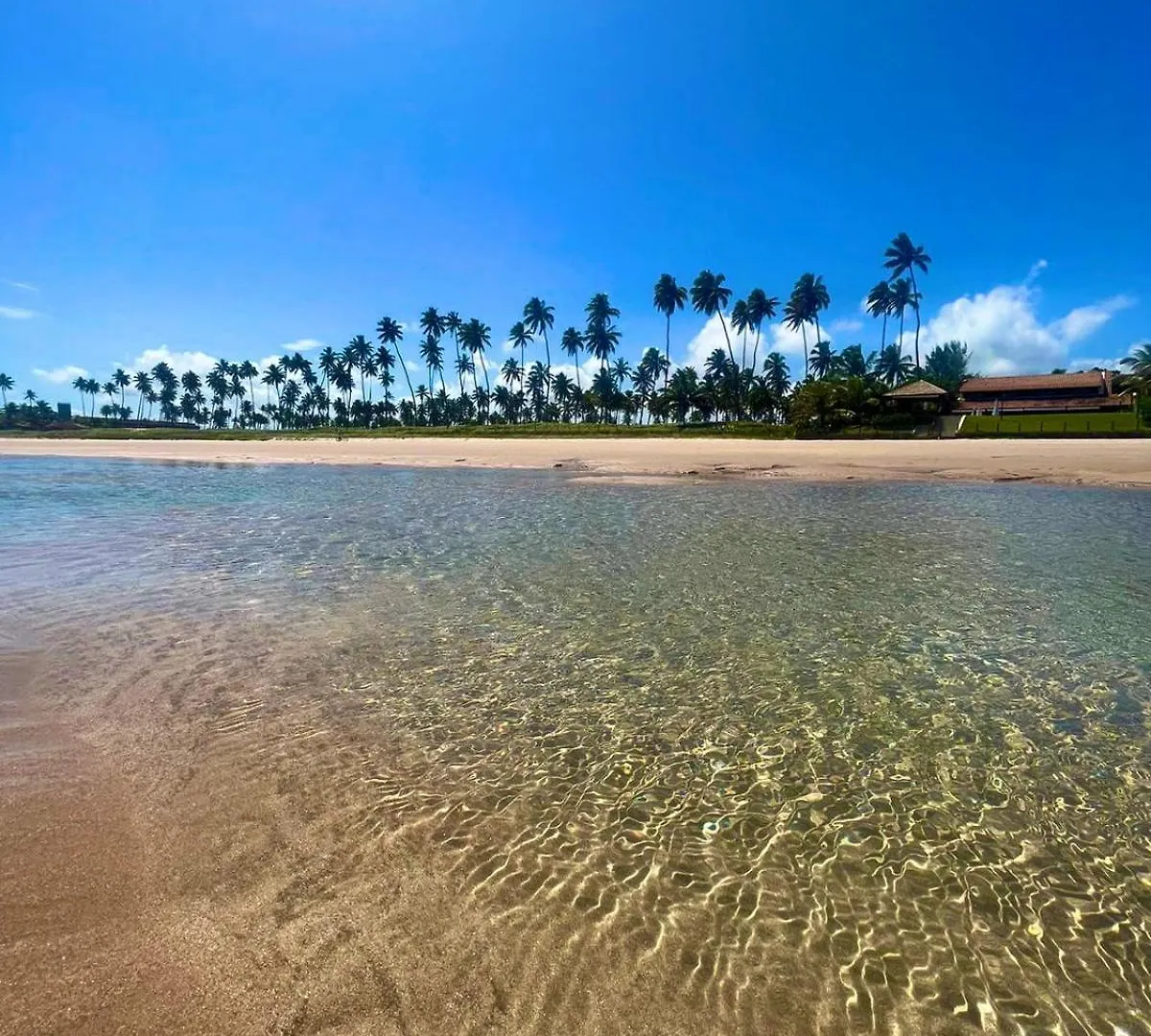 Apartment Flat Cupe Beach Living Porto de Galinhas Brazil